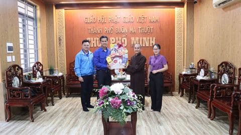 Hoạt động Hội LHTN tỉnh Đắk Lắk — ảnh 11